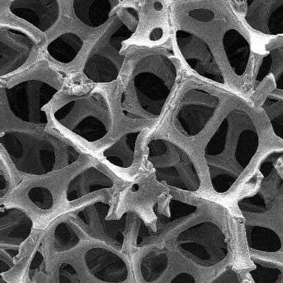 Graphene Foam